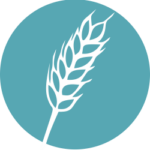 Gluten